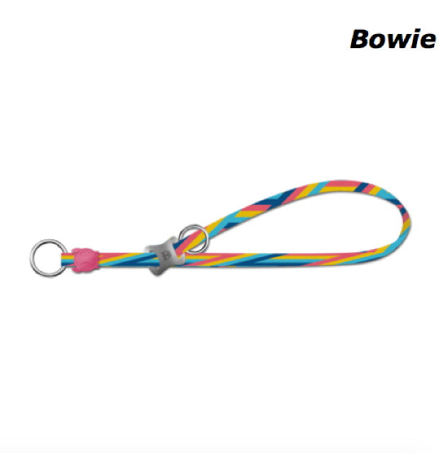 Zee.Dog Bowie Obedience Collar