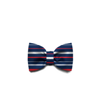 Load image into Gallery viewer, Zee.Dog Rocket Bow Tie
